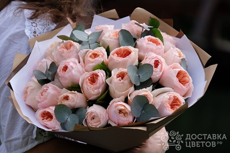 Букет из 25 розовых пионовидных роз "Джульетта"